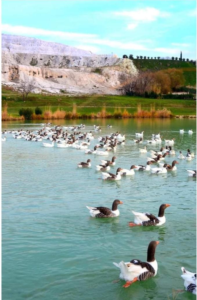 Akapella Hotel Pamukkale Kültér fotó